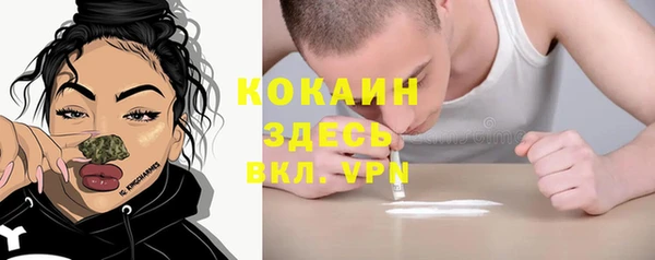 шишки Вязьма