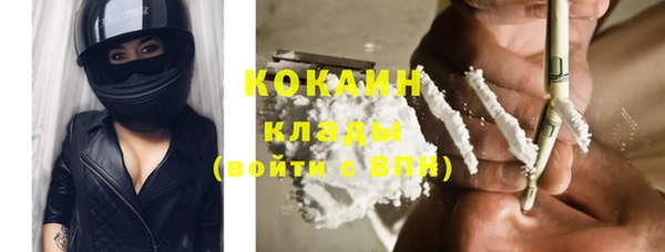 шишки Вязьма