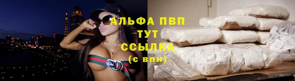 шишки Вязьма