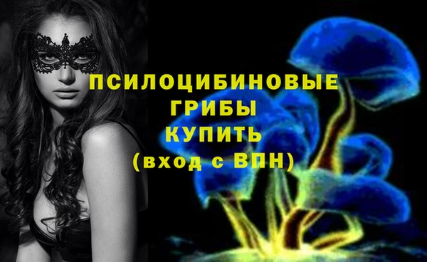 прущая мука Вязники