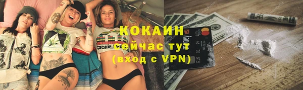 шишки Вязьма